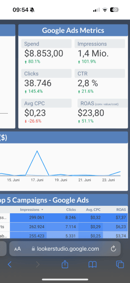 Ein Screenshot in Google Analytics zeigt eine erfolgreiche Google Ads Kampagne